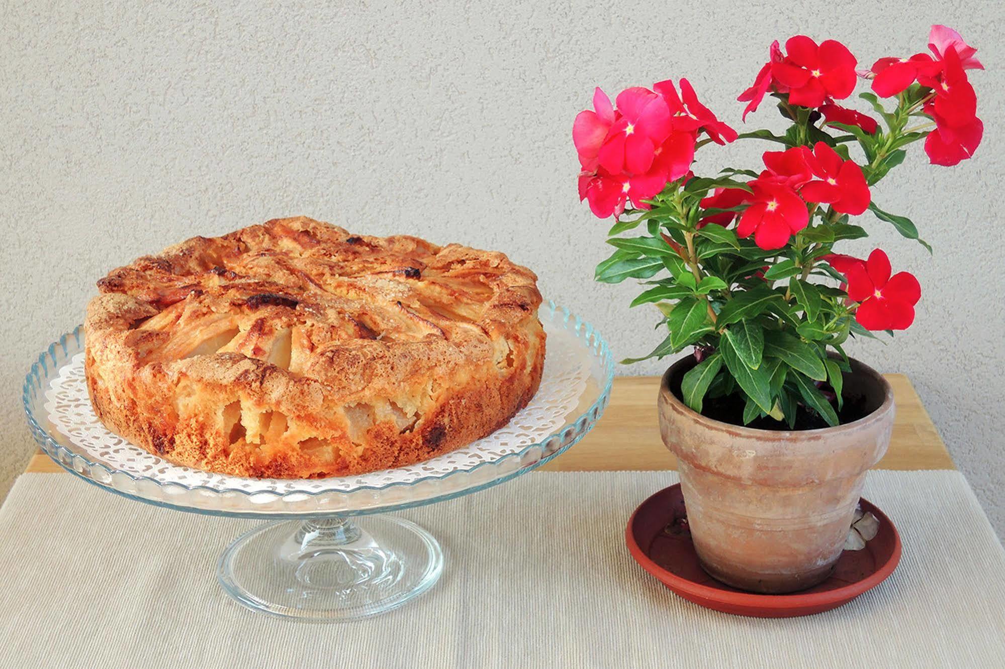 Terrasole Bakery B&B แตร์ราซีนี ภายนอก รูปภาพ